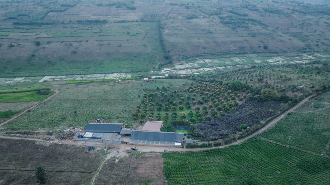 Farm for Sale in Rwamagana, Rwanda – 25-Hectare Agricultural Investment Opportunity — for sale in Rwamagana, Eastern Province, Rwanda