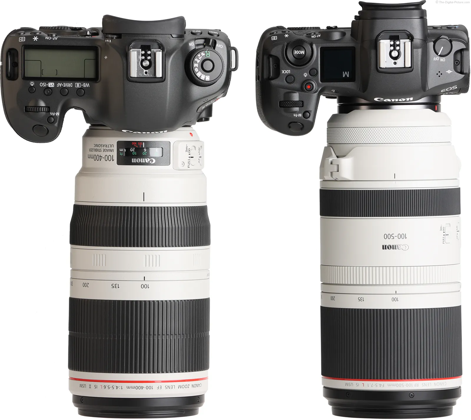 Canon R6 Mark II / RF100-500mm F4.5-7.1 L IS USM 846763 — Canon R6 Mark II Mirrorless Cameras